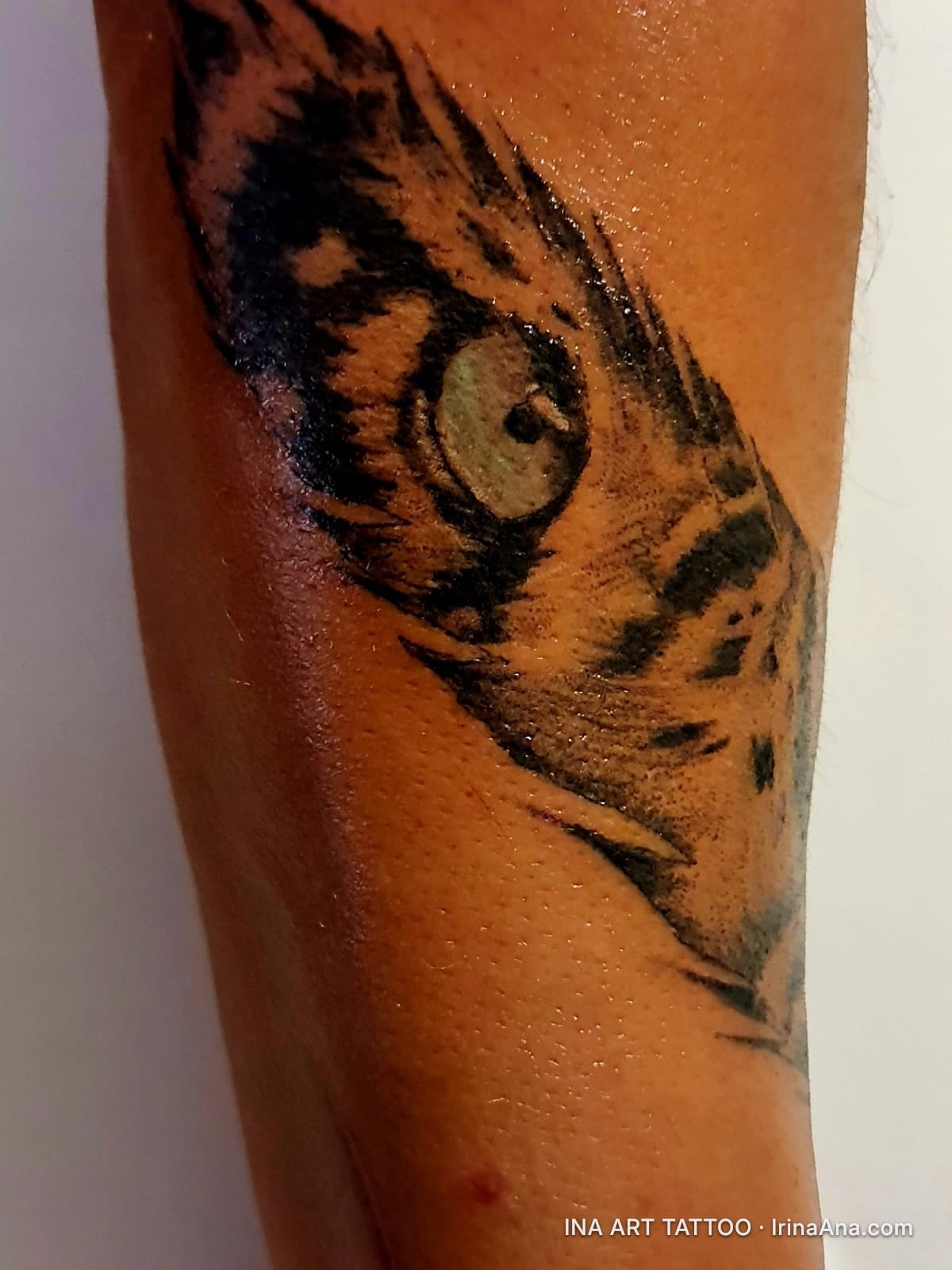 Tatuaje colorate